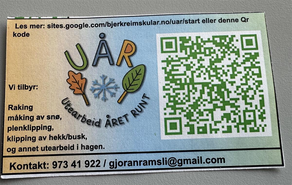 Skjermdump visittkort - Klikk for stort bilde